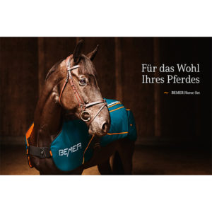 BEMER Veterinary Line