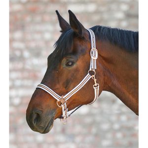 WALDHAUSEN Halfter Rose Shine