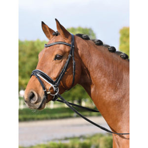 BUSSE Zaum Massa Lack Strass