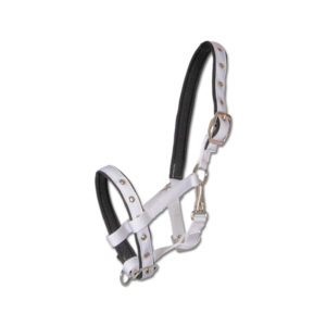 WALDHAUSEN Fohlenhalfter Comfort