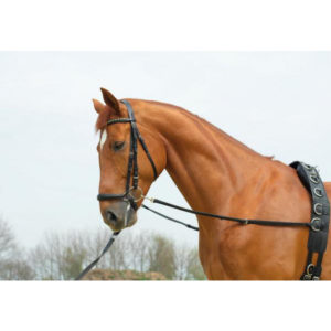 BUSSE Ausbindezügel Basic Starr