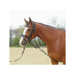 BUSSE Gogue Basic