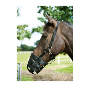 BUSSE Fressbremse Plain