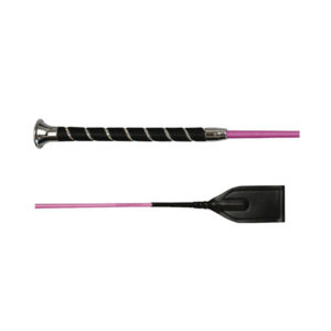 WHIP & GO Springgerte