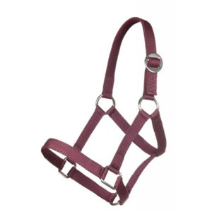 HKM Halfter Mini Shetty