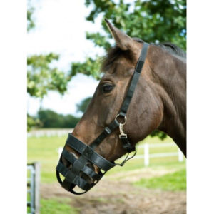 BUSSE Fressbremse Plain