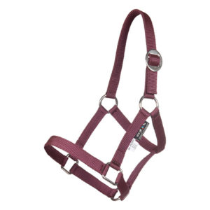 HKM Halfter Mini Shetty