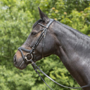 KIEFFER Zaum Ultrasoft Tara