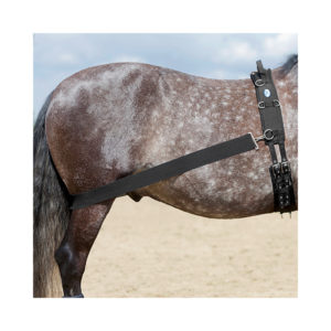 USG Lehmann Trainingssystem