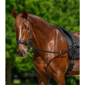 WALDHAUSEN Longiergurt Unterlage