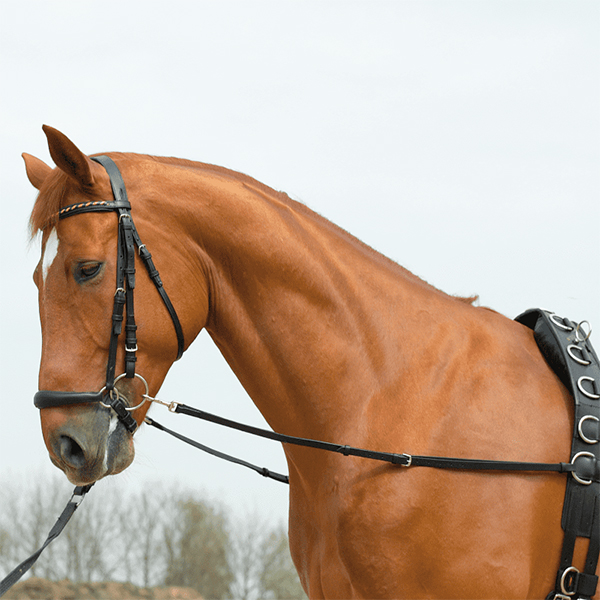 BUSSE Ausbindezügel Basic Starr