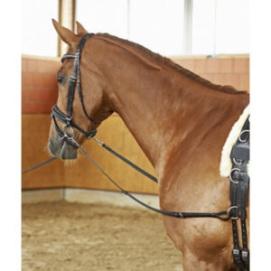 BUSSE Ausbindezügel Solbel Star