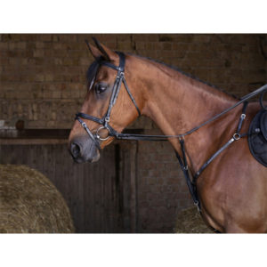 ERIC THOMAS Hybrid Vorderzeug